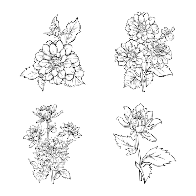 Conjunto de diseños de ilustraciones florales