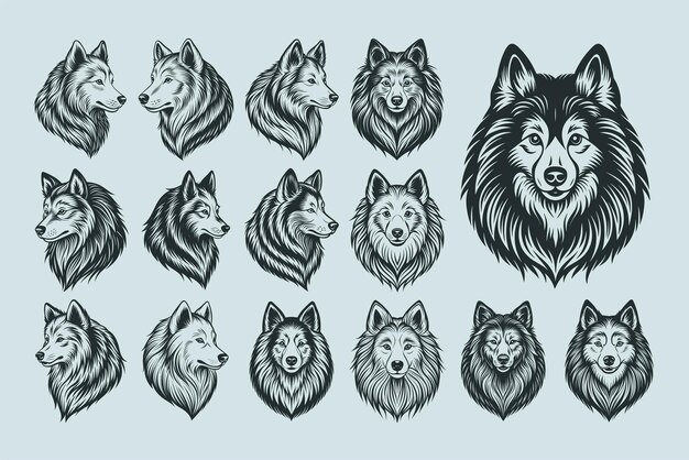 Vector conjunto de diseños de ilustraciones de silueta de la cabeza de perro samoyedo