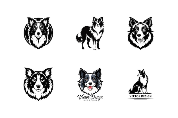 conjunto de diseños de logotipos de siluetas vectoriales de perros Border Collie