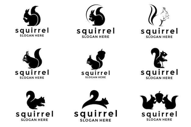 Conjunto de diseños de logotipos vectoriales de ilustraciones de ardillas