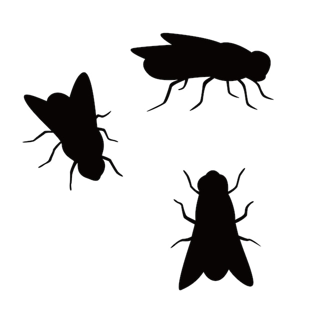 Vector conjunto de diseños de siluetas de moscas, signos y símbolos de insectos