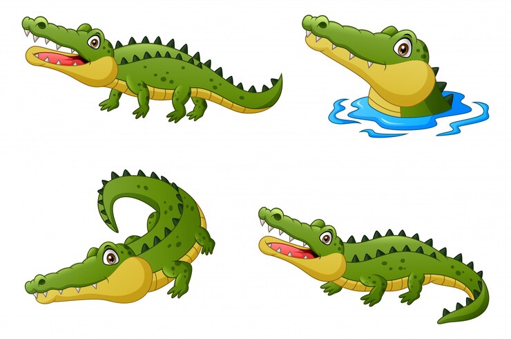 Vector conjunto de divertidos dibujos animados de cocodrilo. ilustración