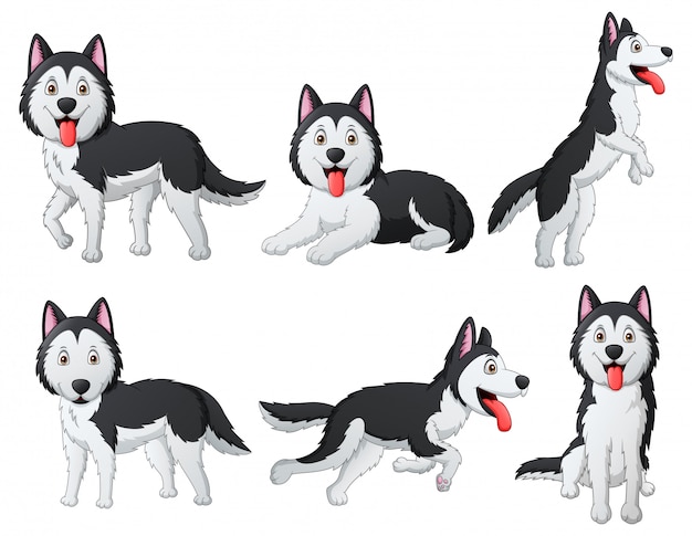 Vector conjunto de divertidos dibujos animados de perro husky siberiano. ilustración