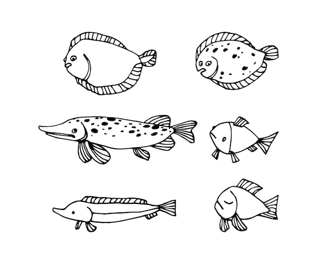 Un conjunto de divertidos peces esturión lenguado lucio para patrones decorativos ilustración vectorial