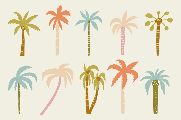 El conjunto de Doodle Boho de la palmera