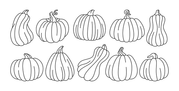 conjunto de doodle de calabaza icono de contorno de otoño colección de símbolo de festival de halloween o día de acción de gracias