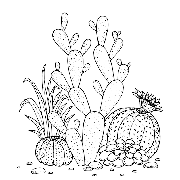 conjunto de doodle dibujado a mano de cactus y suculentas