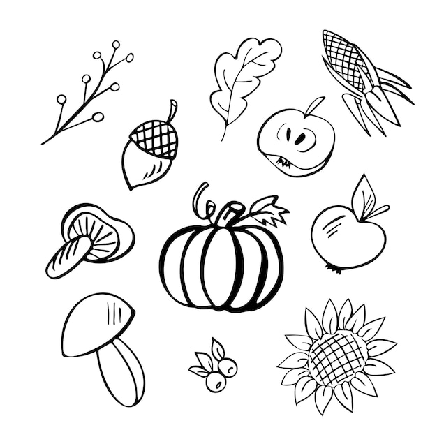 Conjunto de doodle dibujado a mano de otoño de 11 elementos