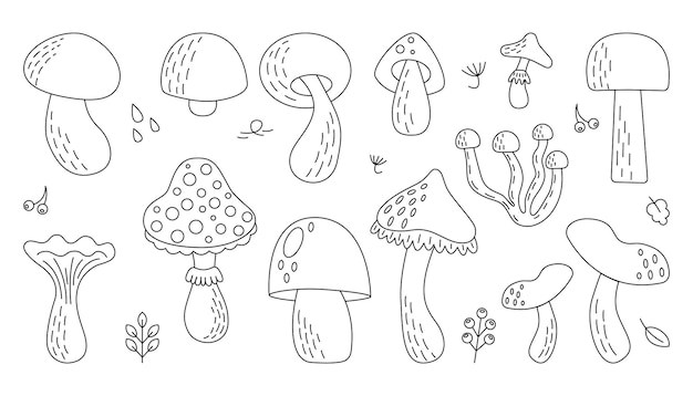 Vector conjunto de doodle de diferentes tipos de hongos hongos blancos chanterelles agarics hongos blancos