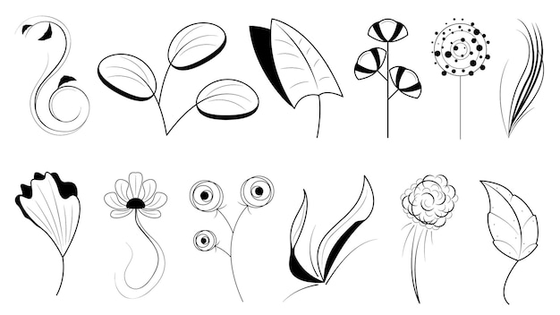 Conjunto Doodle Elementos Dibujados a mano Colección Botánica Hierbas Flora Hoja Rama Vid Flor Plantas