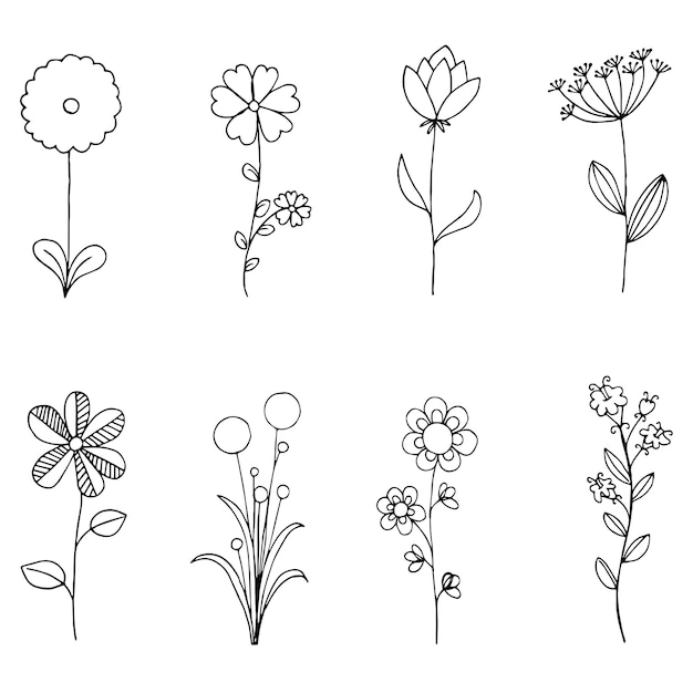 Vector conjunto de doodle flora, flores silvestres y naturaleza