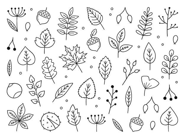 Vector conjunto de doodle de hojas y bayas de otoño elementos de hello autumn en estilo boceto