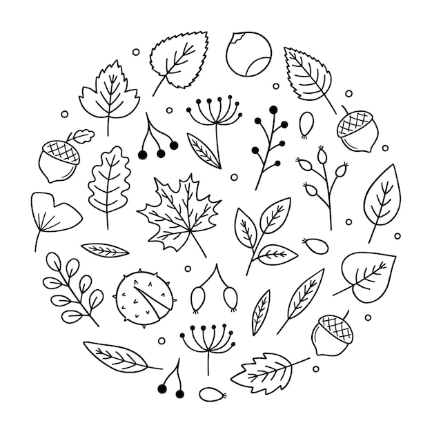 Vector conjunto de doodle de hojas y bayas de otoño elementos de hello autumn en estilo boceto