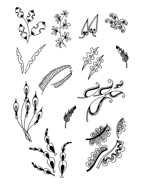 Conjunto de Doodle hojas vector de sorteo de mano