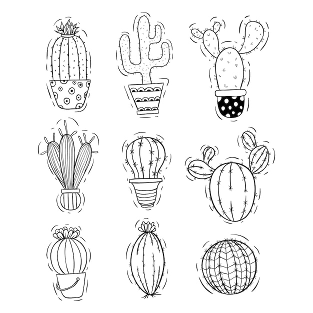 Vector conjunto de doodle o cactus dibujado a mano