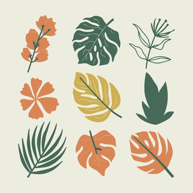 Conjunto de Doodle Tropical Leaves dibujado a mano Ilustración vectorial