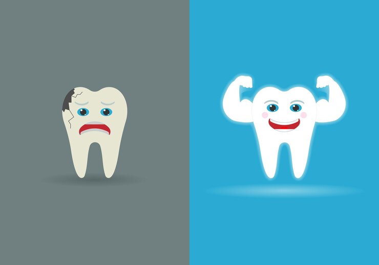 Vector conjunto de dos dientes aislados en el fondo ilustración vectorial eps 10