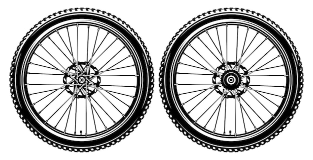 Conjunto de dos ruedas de bicicleta Conjun to de las partes delantera y trasera de la bicicleta Ilustración monocromática vectorial