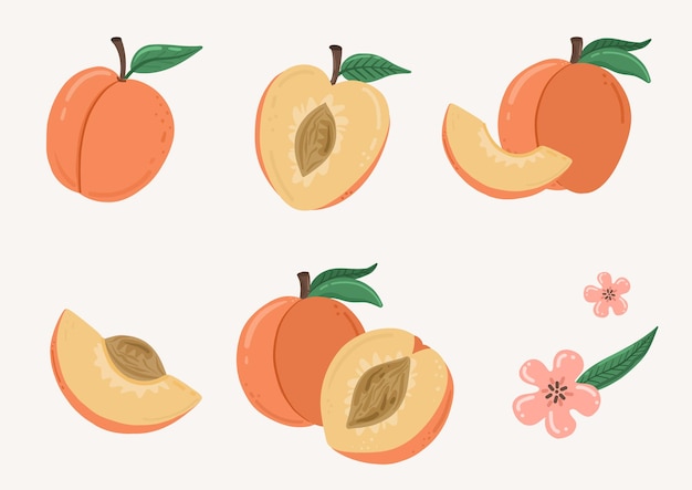 Conjunto de duraznos con hojas fruta dibujos animados doodle ilustración