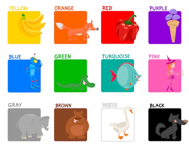 Conjunto educativo de colores primarios