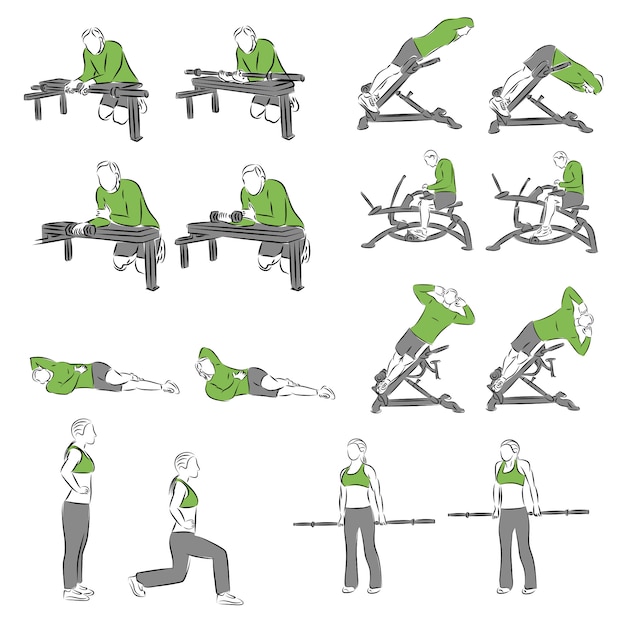 Vector conjunto de ejercicios de musculación sistemática para equipamiento básico.