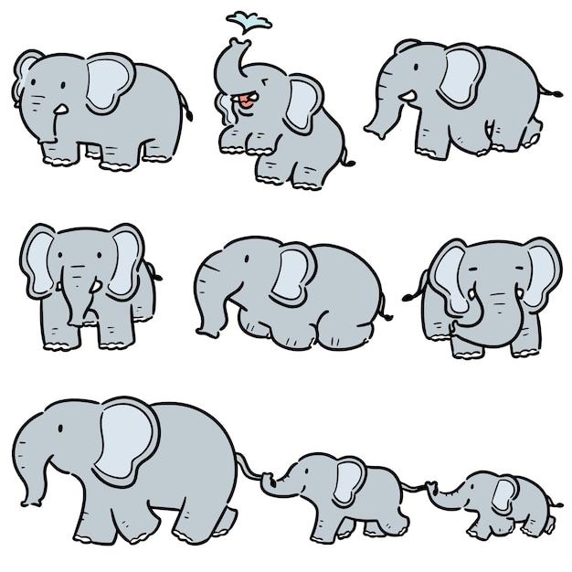 Vector conjunto de elefante