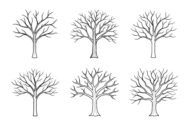 Conjunto de elegantes dibujos de líneas de árboles desnudos dibujados a mano ilustraciones minimalistas de la naturaleza