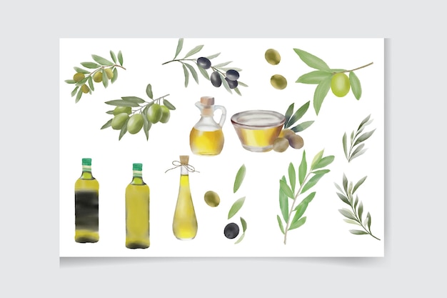conjunto de elementos de aceite de oliva acuarela
