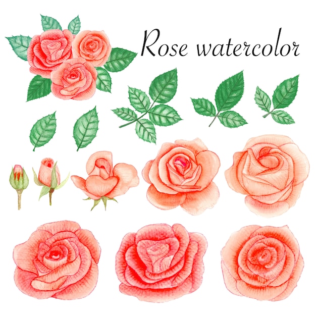 Conjunto de elementos de acuarela rosa.