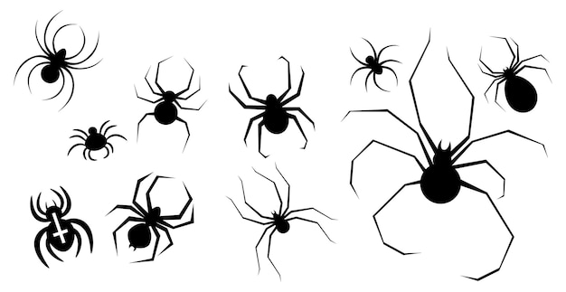 Conjunto de elementos de arañas para la fiesta de Halloween Vector