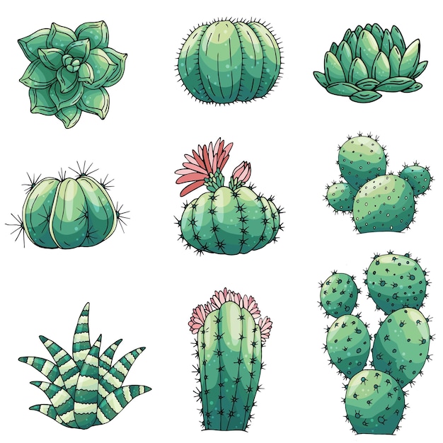 Conjunto de elementos con cactus de colores dibujados a mano y suculentas Iconos vectoriales en estilo de boceto colorido Objetos aislados de estilo de boceto