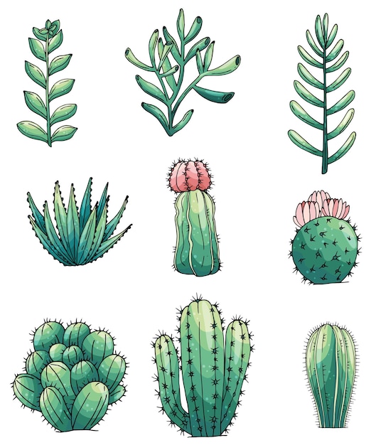 Conjunto de elementos con cactus de colores dibujados a mano y suculentas Iconos vectoriales en estilo de boceto colorido Objetos aislados de estilo de boceto