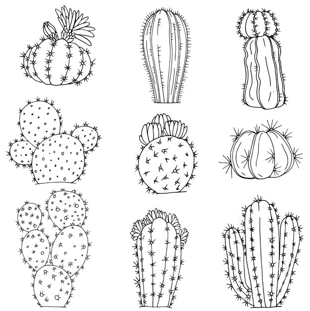 Conjunto de elementos con cactus dibujados a mano sobre fondo blanco iconos vectoriales en estilo de boceto en blanco y negro objetos aislados dibujados a mano