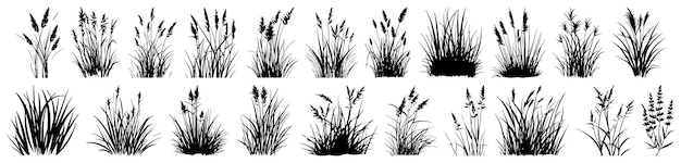 Conjunto de elementos de cobertura del suelo Línea de hierba cad y silueta Bush hierba arbusto silueta de hierba vector fondo transparente Natural eco bio orgánico Ilustración elemento arquitectónico vista lateral