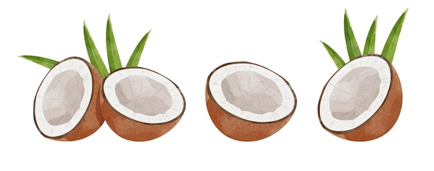 Conjunto de elementos de diseño de coco estilo acuarela ilustración vectorial