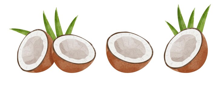Vector conjunto de elementos de diseño de coco estilo acuarela ilustración vectorial