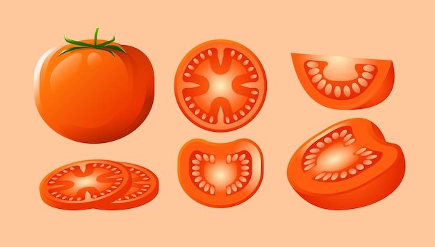 Conjunto de elementos de diseño de tomate