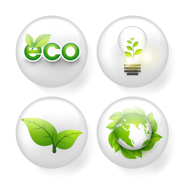 Conjunto de elementos ecológicos.