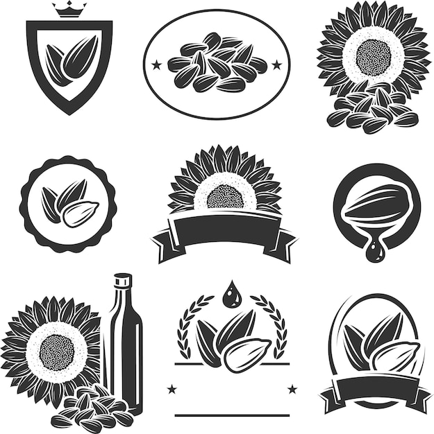 Conjunto de elementos y etiquetas de semillas de girasol Vector