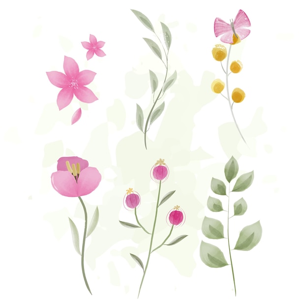 Conjunto de elementos florales de acuarela aislados Ilustración vectorial
