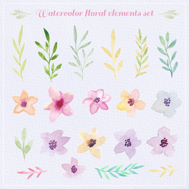 Conjunto de elementos florales acuarela