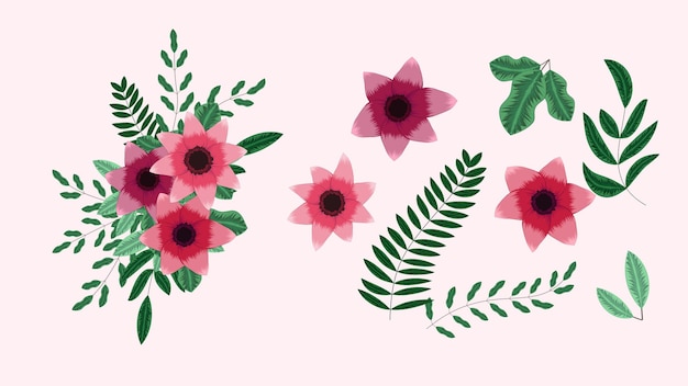 Conjunto de elementos florales. Arreglo de hojas de flores de colores en ramo