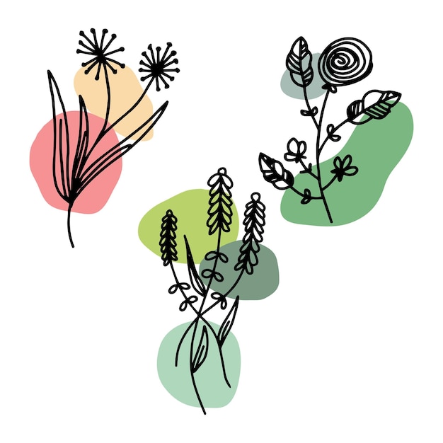 conjunto de elementos florales de arte de línea