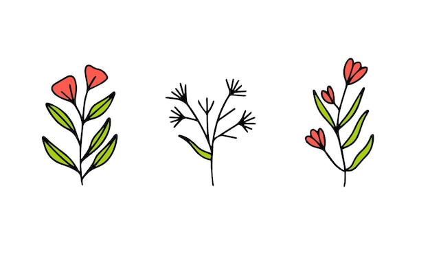 Conjunto de elementos florales dibujados a mano en estilo de contorno coloreado Flores Doodle aisladas en blanco