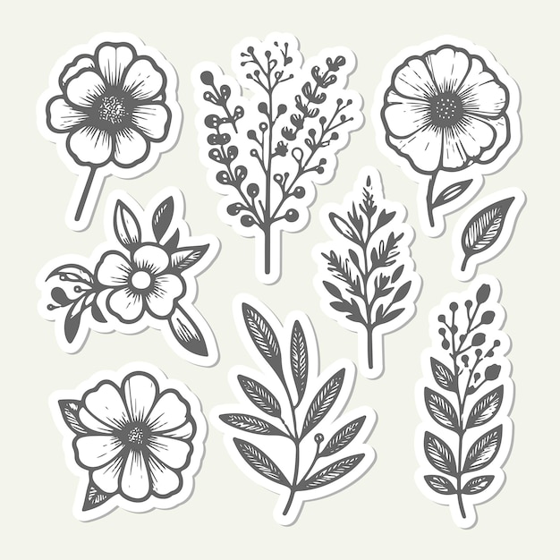 Conjunto de elementos florales dibujados a mano Ilustración vectorial aislada sobre fondo blanco