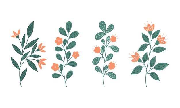 Conjunto de elementos florales dibujados a mano Ilustración vectorial en estilo plano