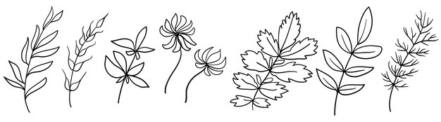 Conjunto de elementos florales hechos a mano plantas y flores Elementos de diseño incompletos Arte lineal