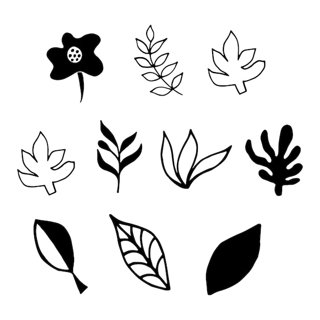 Vector conjunto de elementos florales vectoriales simples para el diseño en estilo garabato