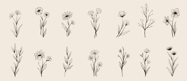 Conjunto de elementos florales vintage vector.
