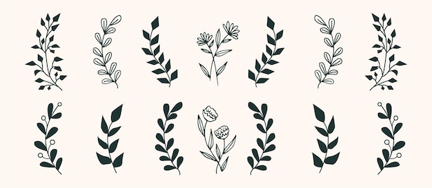 Conjunto de elementos florales vintage vector.